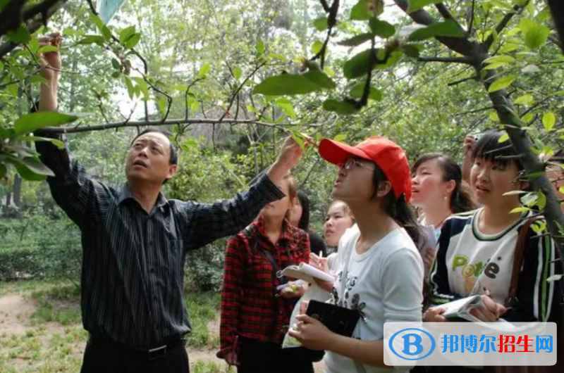 大学作物生产技术专业可以从事哪些工作？