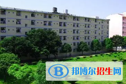 广西2023年有什么计算机学校