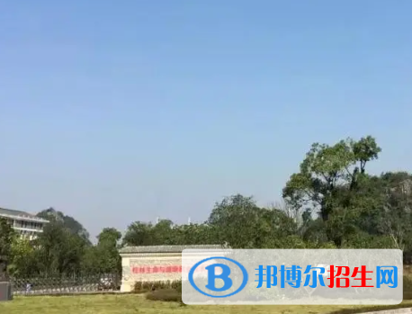 广西2023年计算机学校哪里比较好