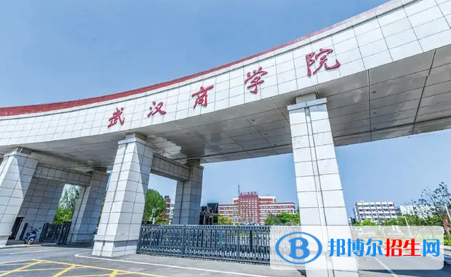 2023湖北物理类245分左右能上什么好大学（本省大学+外省大学）