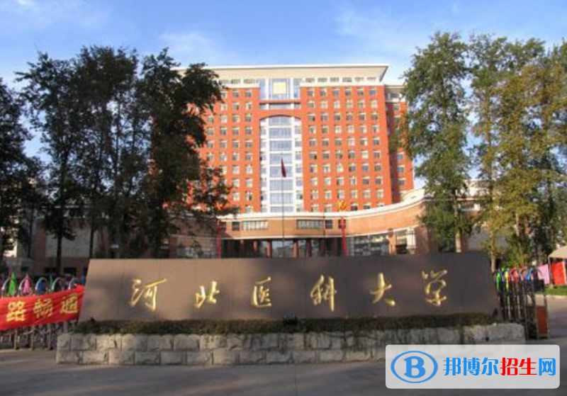 2023河北历史类510分左右能上什么好大学（本省大学+外省大学）