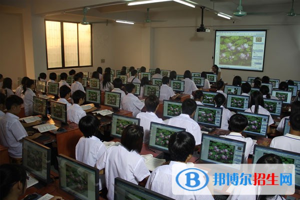 四川2023年一般计算机学校有什么专业
