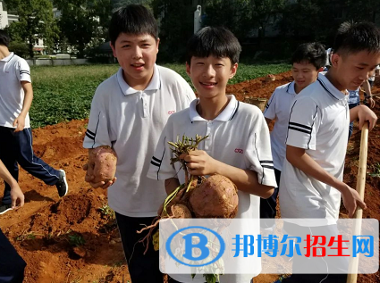 杭州2023年女生读中专学校学什么好