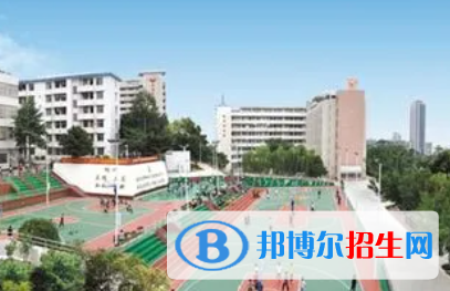 广东2023年计算机学校都有哪些专业