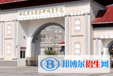 安徽黄梅戏艺术职业学院是大专还是中专(安徽黄梅戏艺术职业学院)