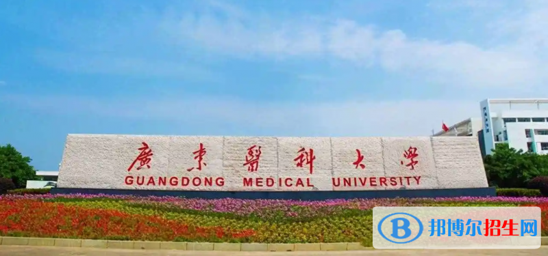 2023广东物理类515分左右能上什么好大学（本省大学+外省大学）