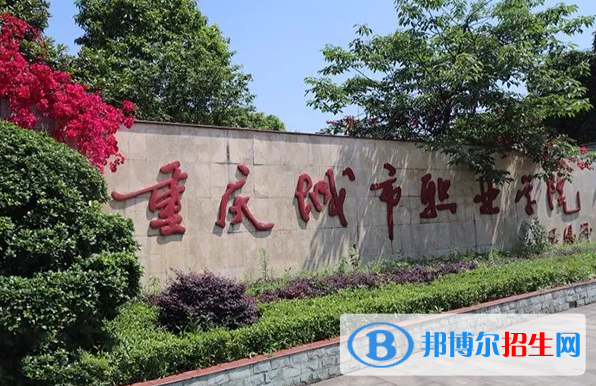 2023重庆物理类275分左右能上什么好大学（本省大学+外省大学）