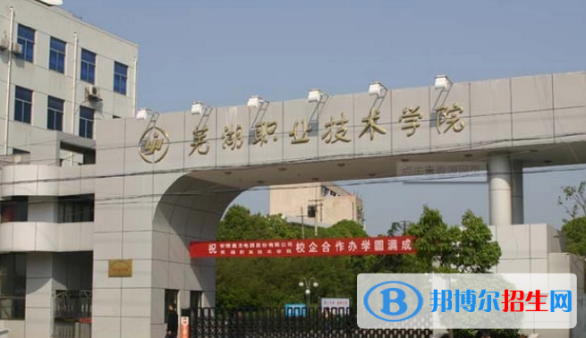 2023芜湖公办专科学校一览表