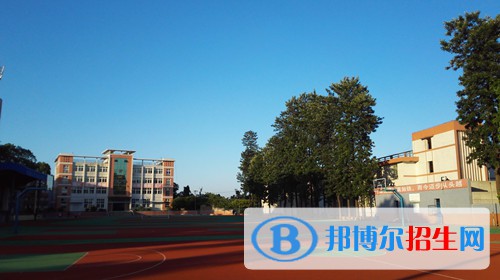 四川2023年哪些计算机学校比较好