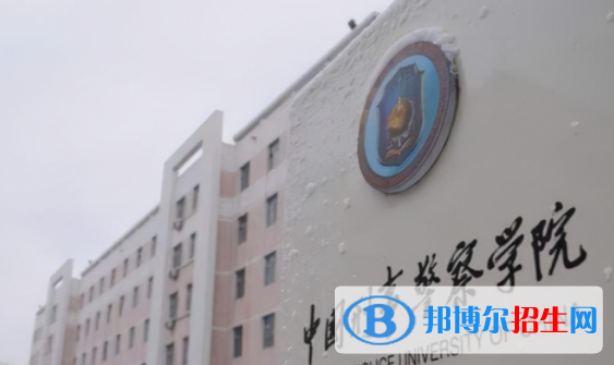 中国大学反恐警务专业排名（2022研究型）