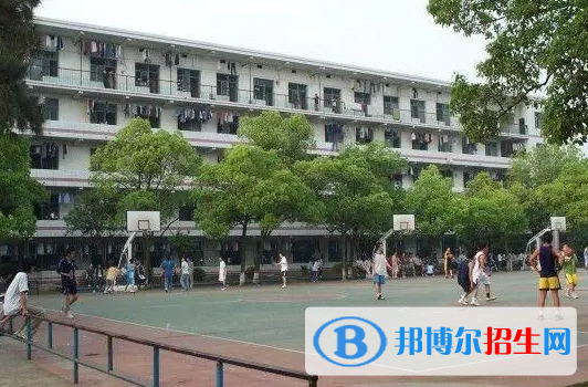 湖南单招物流管理（供应链）专业2023年有哪些学校