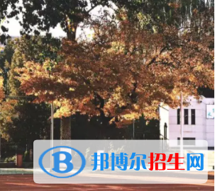 中国大学日语专业排名（2022研究型）