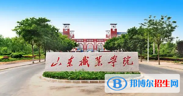 山东高考445分左右可以报考什么学校（2023报考参考）