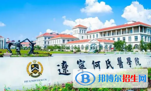 辽宁何氏医学院是不是双一流大学吗？