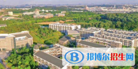 广东东软学院是不是双一流大学吗？