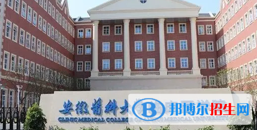 安徽医科大学临床医学院是不是985大学?