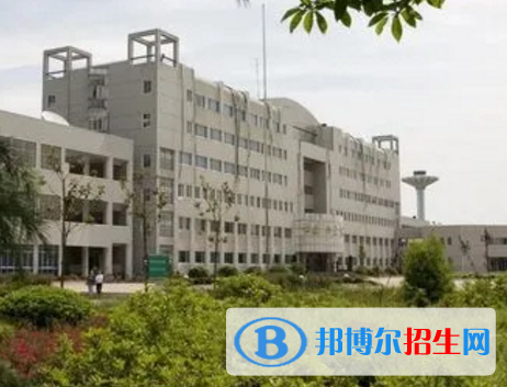 阜阳师范大学信息工程学院是不是985大学?