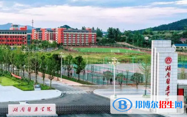 湖南医药学院是不是985大学？