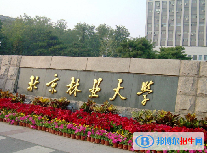 北京林业大学是不是双一流大学？
