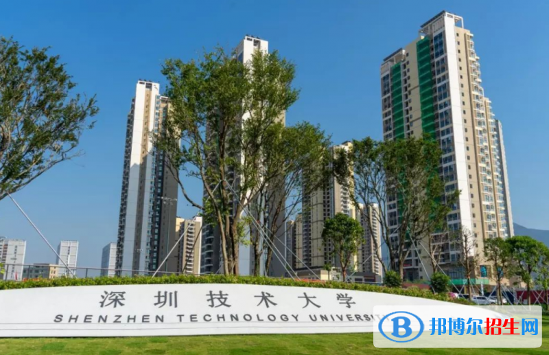 深圳技术大学排名全国第几位