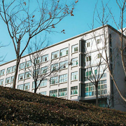 山东法律学校