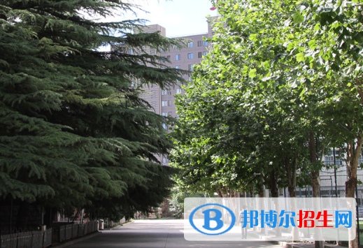 2023北京科技高级技术学校招生计划 招生人数是多少(附要求、条件、对象)