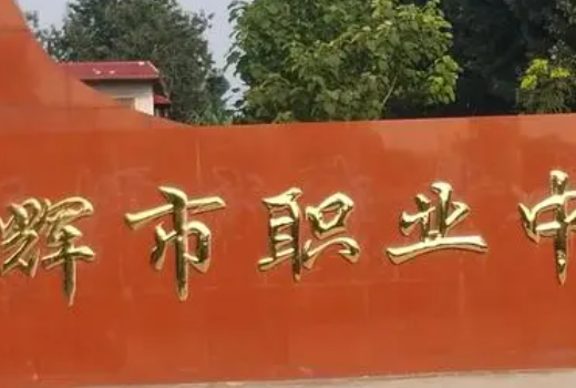 卫辉市职业中等专业学校地址在哪里，哪个地区，哪个城市?