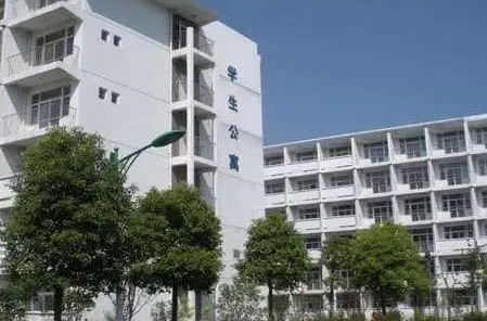 2024合肥卫生学校有哪些 合肥卫生学校名单一览表