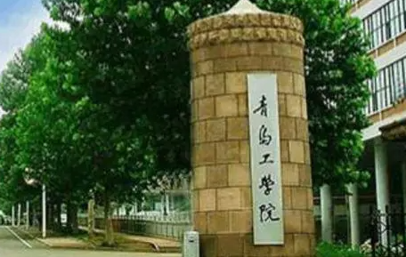 山西大学和青岛工学院怎么选？哪个好？附分数线