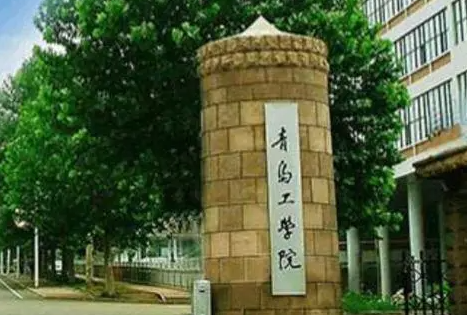 河南科技大学和青岛工学院怎么选？哪个好？附分数线