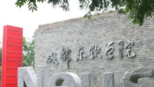 中央财经大学和成都东软学院怎么选？哪个好？附分数线