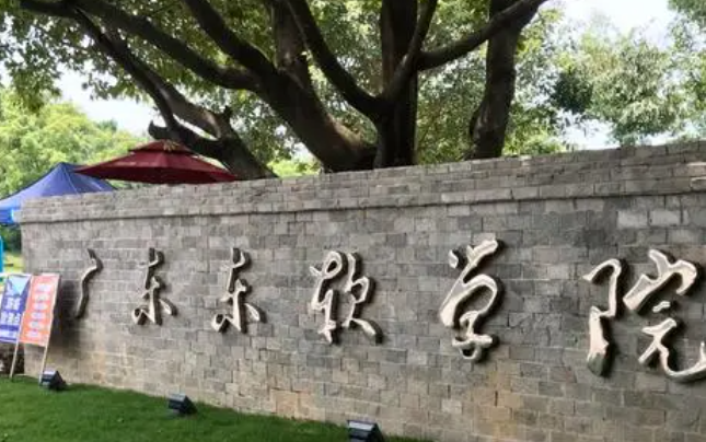 广东东软学院什么专业好，广东东软学院专业排名