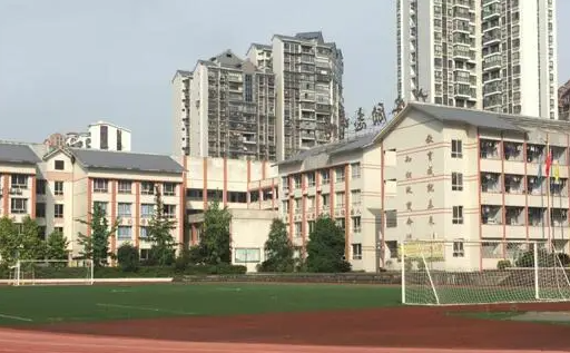 2023广安新能源汽车学校有哪些 广安新能源汽车学校名单一览表