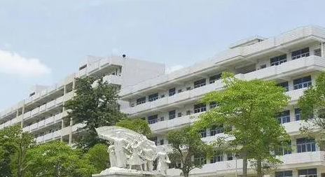2023阳江公办护理学校有哪些 阳江公办护理学校名单一览表
