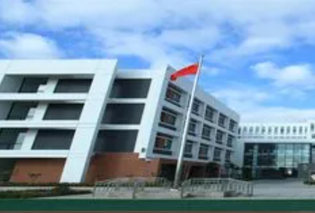 2023年潍坊德润国际双语学校录取分数线