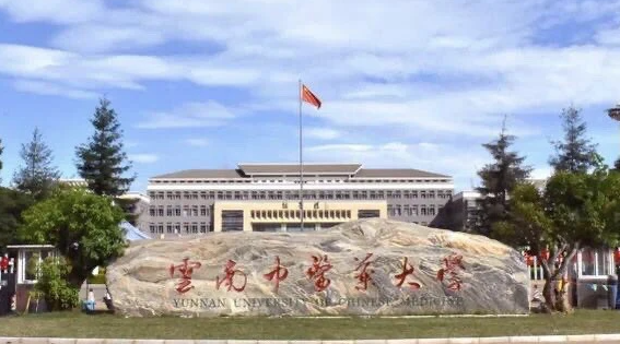 中国大学傣医学专业排名（研究型）-校友会2023最新排名