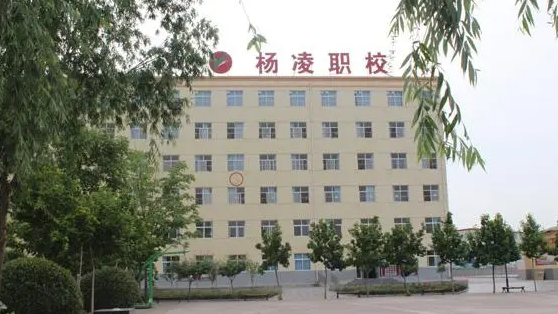 2024咸阳公办药剂学校有哪些 咸阳公办药剂学校名单一览表