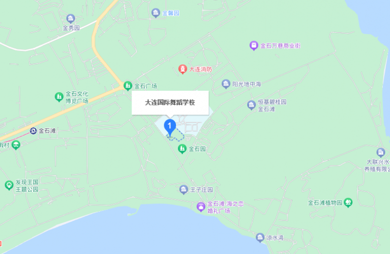 大连国际舞蹈学校地址，乘车路线