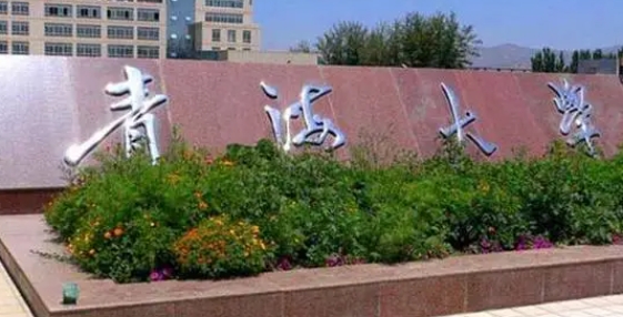 青海大学全国第几名（2024年参考）