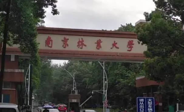 南京林业大学是什么样的大学 985还是211高校（附王牌特色专业）