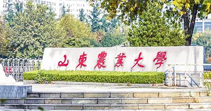 2024山东农业大学评价怎么样,学校好不好