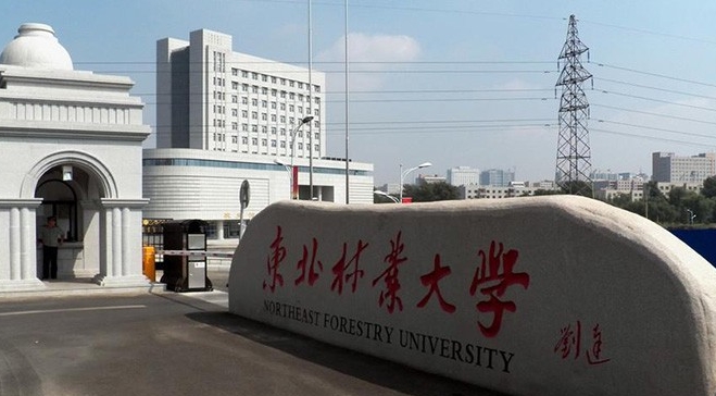 在黑龙江高考470分算什么水平（近三年）黑龙江高考470分能上的大学 