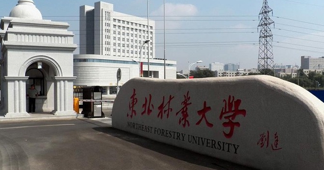 在黑龙江高考480分算什么水平（近三年）黑龙江高考480分能上的大学 