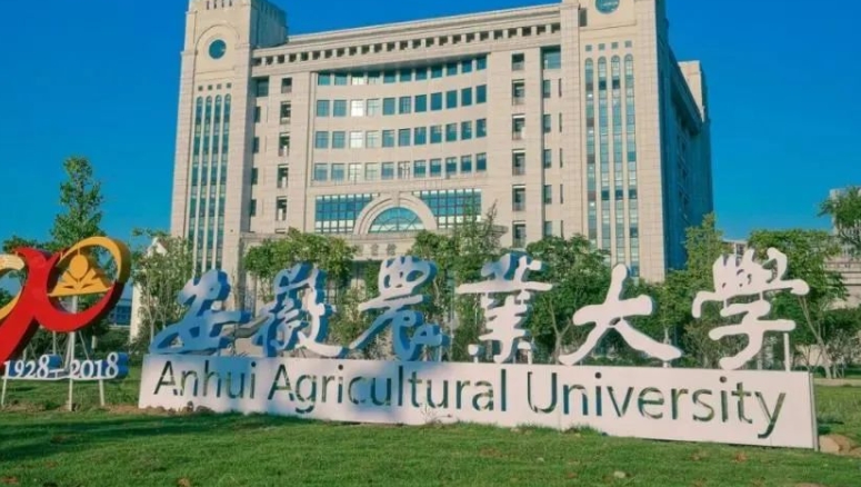 2023安徽农业大学高考录取分数线是多少（2024参考）