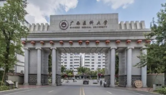 2023广西医科大学高考录取分数线是多少（2024参考）