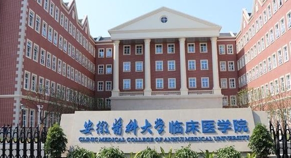 2023安徽医科大学临床医学院高考录取分数线是多少（2024参考）