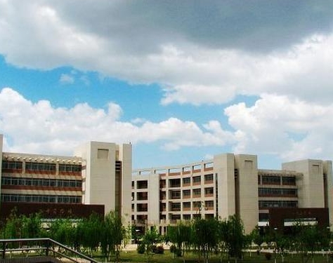 2024年西安邮电大学(中外合作)多少钱
