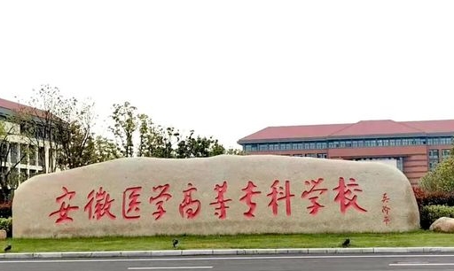 2024安徽医学高等专科学校专业排行榜 