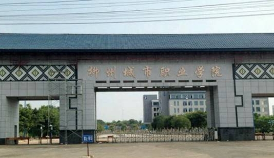 2024柳州城市职业学院专业排行榜 