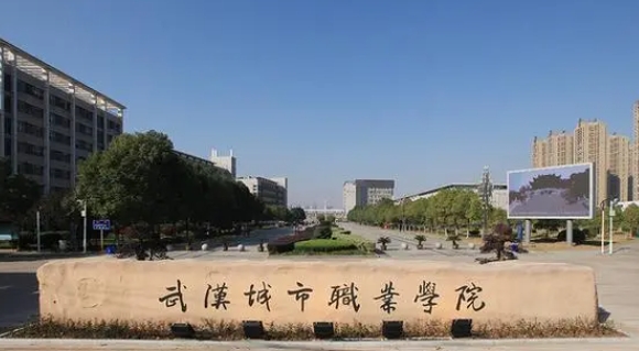 2024武汉城市职业学院专业排行榜 